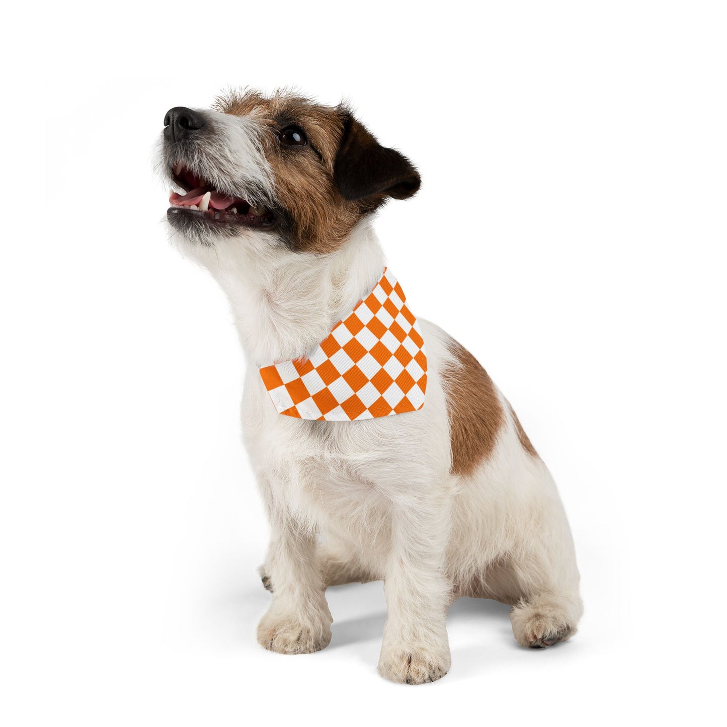 Checkerboard Pet Bandana Collar