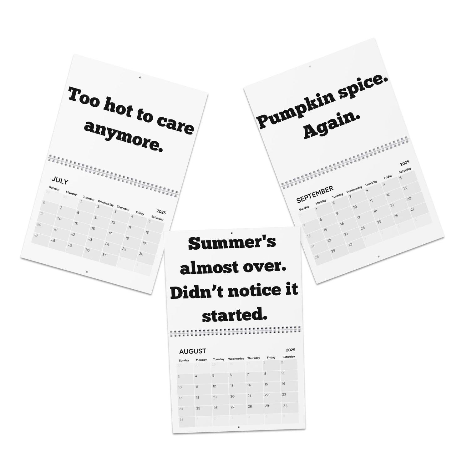 The Bare Minimum: A Deadpan Calendar for the Unmotivated. Calendar (2025)